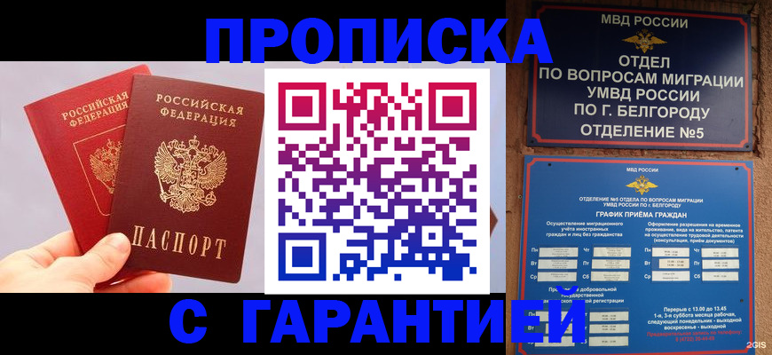 прописка 2025 в Каменке